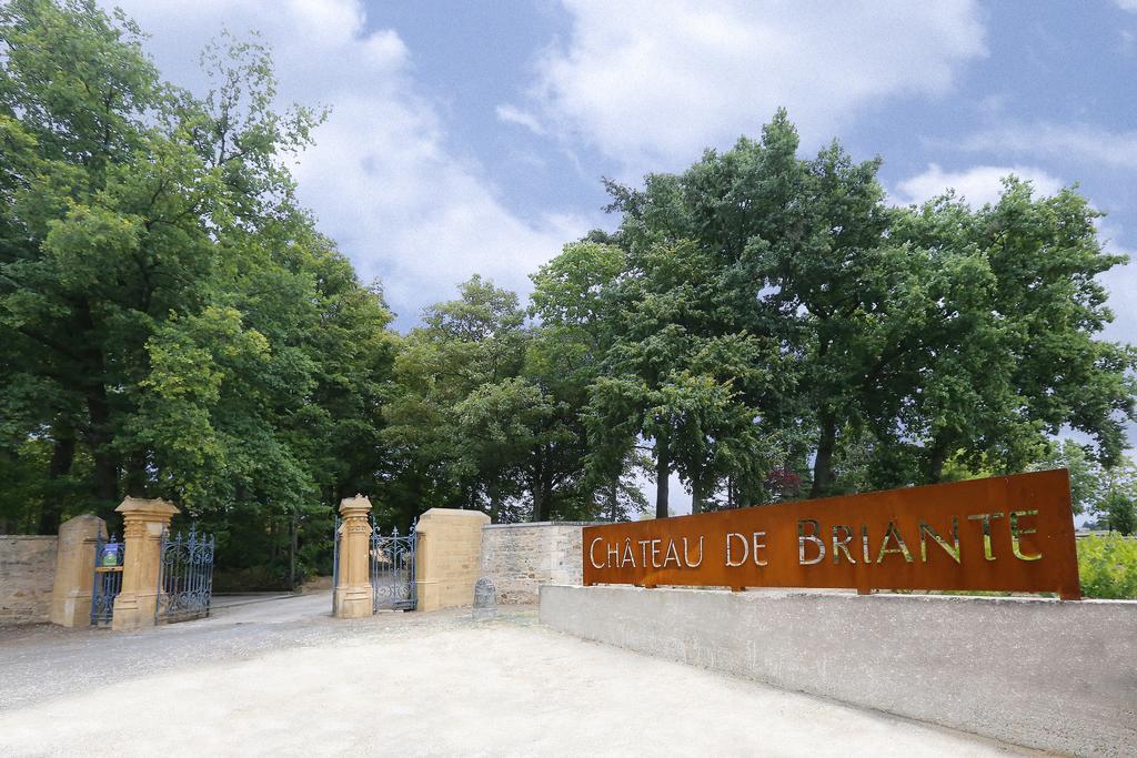 Chateau De Briante Saint-Lager ภายนอก รูปภาพ